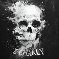 Z-CHARLY (Super Slowed) - Sek1roRem