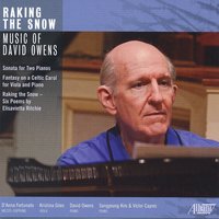 Raking the Snow: Raking the Snow - D'Anna Fortunato & David Owens