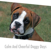 Soulful Pup Sounds - Calming Dog Sleep