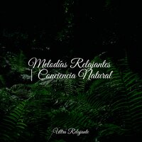Sonido De Serenidad - Musica Relajante Specialistas & Musica Para Meditación Profunda & Relajante