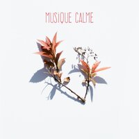 One Soul - Meditative Music Guru & Calming Music Ensemble & Musique calme