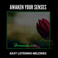Journey Within Spirit - Liquid Ambiance