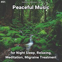 Peaceful Music, Pt. 25 - Peaceful Music & Relaxing music & Yoga