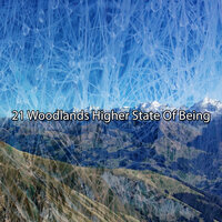 Свободная природа - Outside Broadcast Recordings