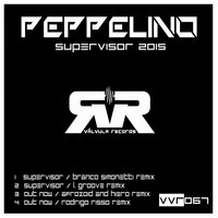 Supervisor - Peppelino & L.Groove