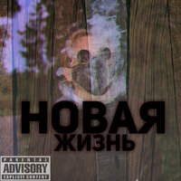 Новая жизнь - gamma