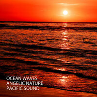 Soothing Waves Music - Asian Spa Music & Yoga Music Guru & The Spa Guys
