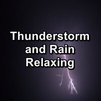 Forest Rain and Nature Sounds For Babies to Sleep - Rain Sounds Sleep & Relaxing Rain & Rain Radiance