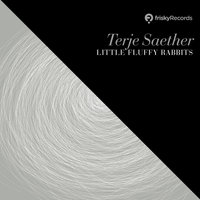 Maybe - Terje Saether