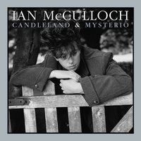 Proud to Fall - Ian Mcculloch