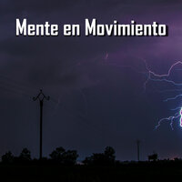 Mente Expansiva - Zen Universal