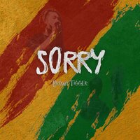 SORRY - Brown Tigger