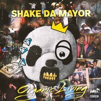 Doin' Too Much - Shake Da Mayor