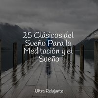 No Te Preocupes - Naturaleza Relajacion & Escola de Meditação & Hipnose Natureza Sons Coleção