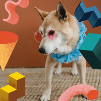 Cultivated Tenor Saxophone Solo - Vibe for Doggy Rest - Dog Music Therapy