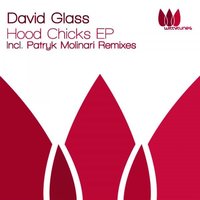 Hood Chicks - David Glass