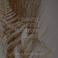 Sleepy Head - Massage Therapy Music & Sleep Sound of Nature & Loopable Rain Sounds