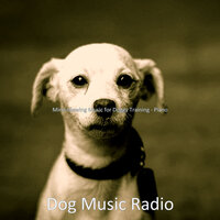 Friendly Solo Piano Jazz - Vibe for Separation Anxiety - Dog Music Radio
