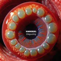 The Anus - SinnerXL