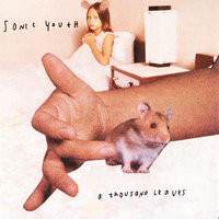 Wildflower Soul - Sonic Youth