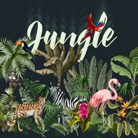 Jungle Waterfall - Mindfulness - Ambient Jungle Sounds