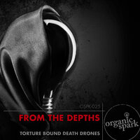 Sinister Thoughts Entice - Organic Spark