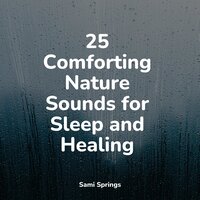 Small Crackling Fire - Ambientalism & Water Soundscapes & Sleepy Times