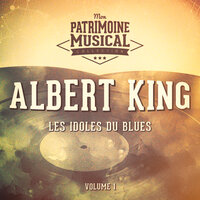 Won't Be Hangin' Around - Albert King