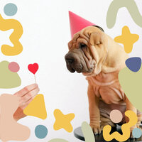 Laid-back Ambience for Well Trained Dogs - Doggy Music Radio