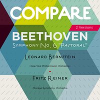 Symphony No. 6 in F Major, Op. 68 "Pastorale": III. Lustiges Zusammensein der Landleute. Allegro - Fritz Reiner & Chicago Symphony Orchestra & Ludwig van Beethoven