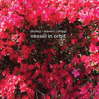 Space Strut - Matthew Shipp & Mat Maneri & Whit Dickey