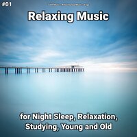 Relaxing Music Part 14 - Calm music & Relaxing Spa Music & Yoga