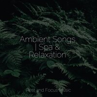 Calming Connection - Deep Sleep Meditation & Deep Relaxation Meditation Academy & Alpha Brain Waves