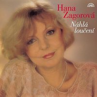 Byl jsi tak jiný - Karel Vágner se svým orchestrem & Hana Zagorová & Jindrich Parma & Šarka Schmidtová
