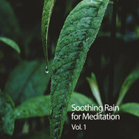 Rain Sound Loop - Deep Sleep Sounds & Deep Sleep & Zen Music Garden