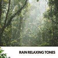 Gentle Downpour - Música Relajante Para Leer & Rain Wonder & Focus Chamber