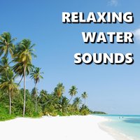 Healthy Bayside Ocean Waves - Water Sounds