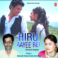 Pahaado Mein - Nainnath Rawal