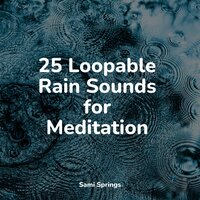 Evening Rains - Spa Music Relaxation & Sound Healing Center & Tranquil Music Sound Of Nature