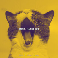 Cuddly (Music) - Music for Cats Curation