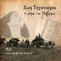 Κανέλλα και γαρύφαλλο - Zoe Tiganouria & Domna Megga
