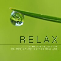 Yoga Ejercicios - Cat Whisper
