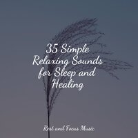 Planet at Peace - Música Zen Relaxante & Relaxation Music Guru & Native American Flute