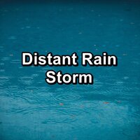 Summer Rain with Alpha Waves To Sleep with for 8 Hours - Rain Relax & Relax My Dog & Relax Meditation