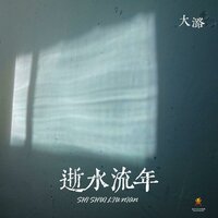 逝水流年 - 大潞 & DJ翊轩
