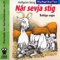 Spor 09 - Hallgrim Berg