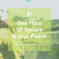 For Nature Addicts - Relaxing Atmospheres & Sounds Of Nature Relaxation
