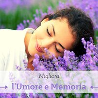 Mente rilassata - Meditazione Zen