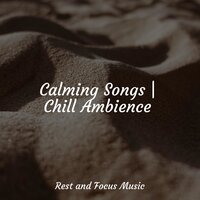 Relaxing Flows - The Sleep Specialist & Rain Sounds XLE Library & Thunderstorm Sleep