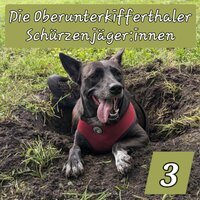 Kornfeld - Die Oberunterkifferthaler Schürzenjäger:innen